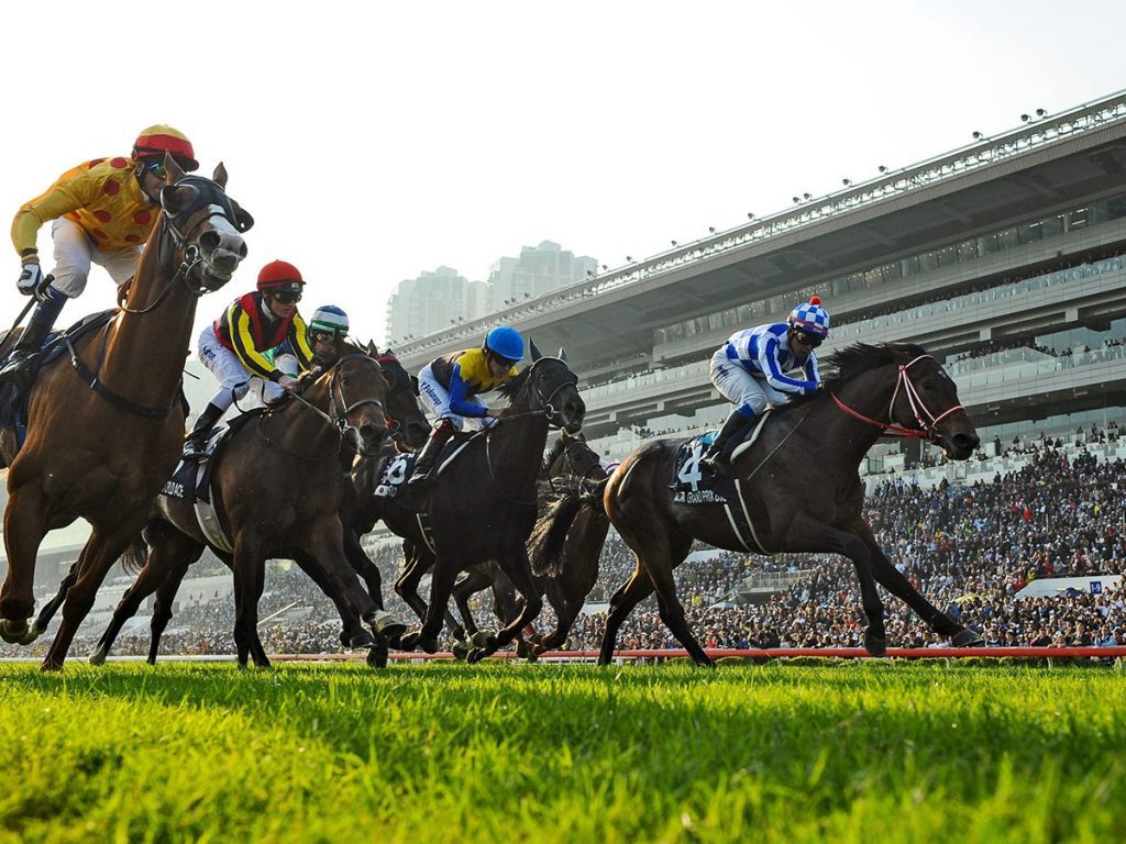 how to bet on horse racing